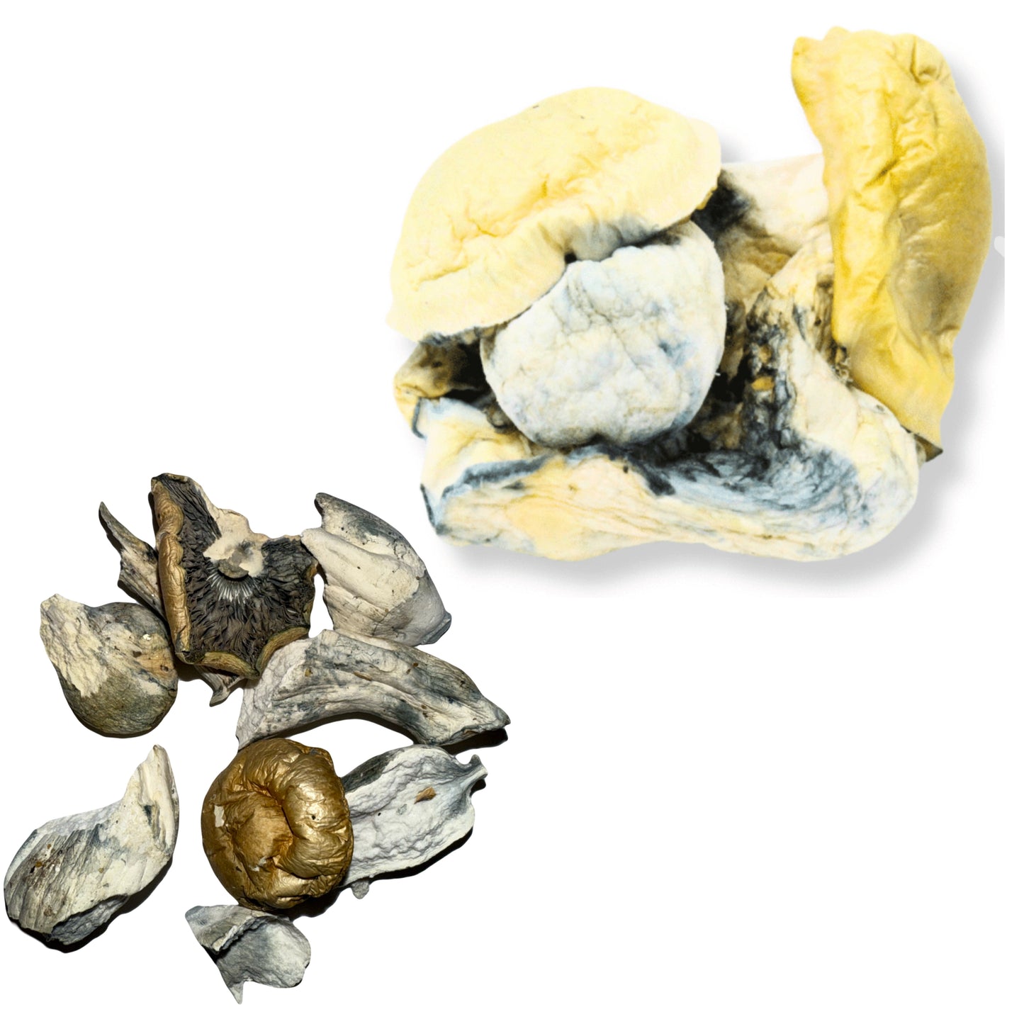 3.5 GRAM Magic Mushroom (Fruit)