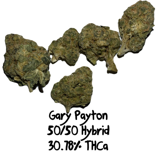 Gary Payton - HOUSE GAS - H