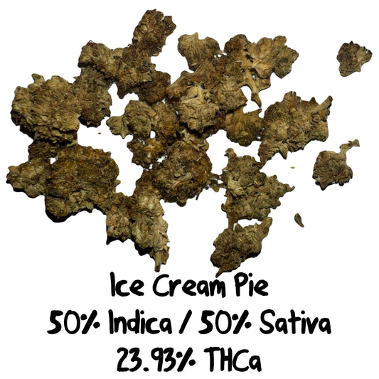 Ice Cream - HOUSE OUTDOOR - H