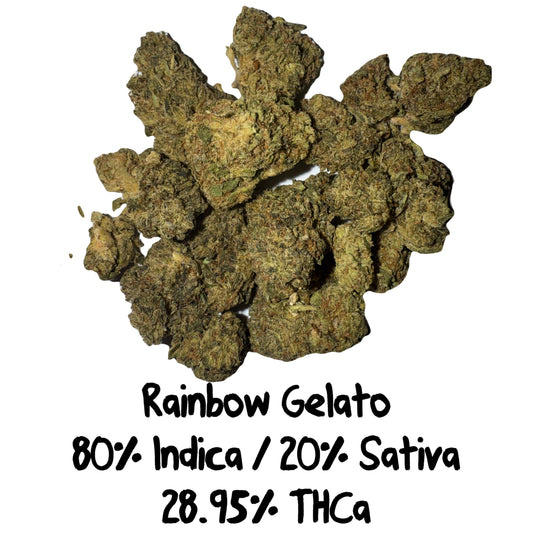 Rainbow Gelato - EXODUS - I