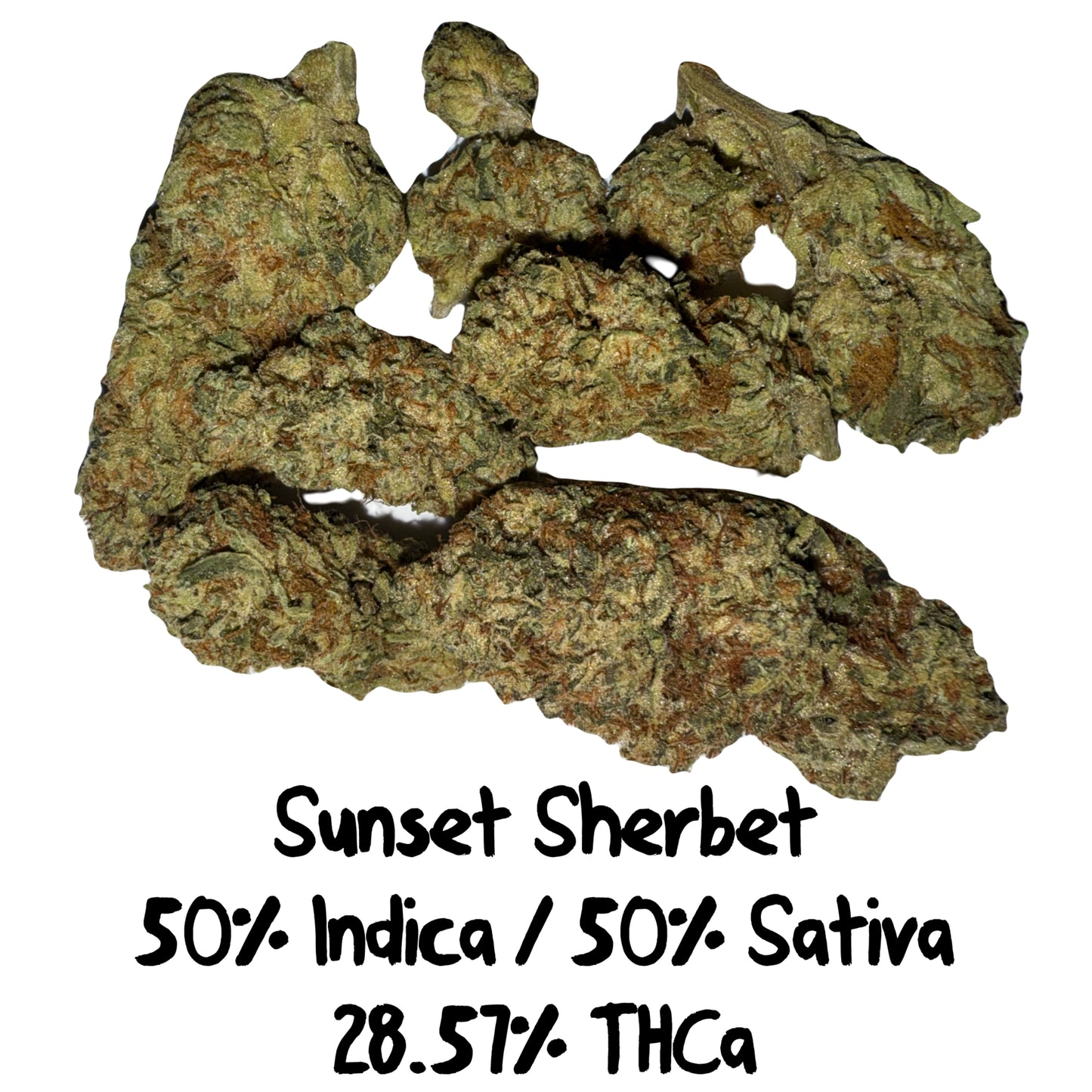 Sunset Sherbet - EXODUS - H